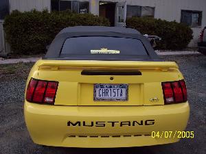 Mustang 007.jpg